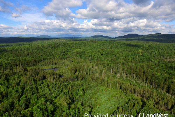 Pickett Mountain aerial view