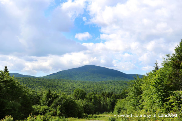 Pickett Mountain