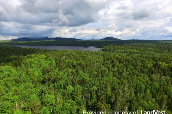 Pickett Mountain aerial view